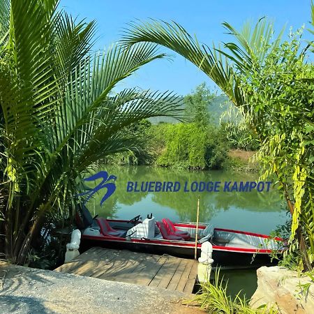 Bluebird Lodge Kampot Exterior foto