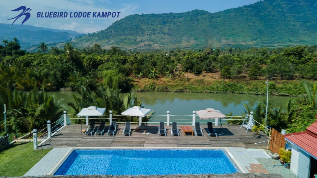Bluebird Lodge Kampot Exterior foto