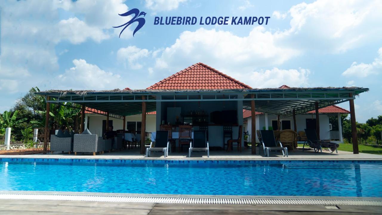 Bluebird Lodge Kampot Exterior foto